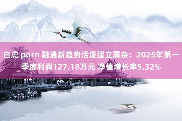 白虎 porn 融通新趋势活泼建立羼杂：2025年第一季度利润127.18万元 净值增长率5.32%