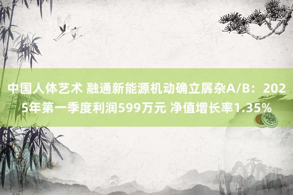 中国人体艺术 融通新能源机动确立羼杂A/B：2025年第一季度利润599万元 净值增长率1.35%