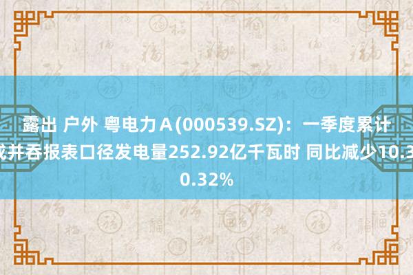露出 户外 粤电力Ａ(000539.SZ)：一季度累计完成并吞报表口径发电量252.92亿千瓦时 同比减少10.32%