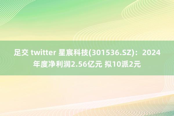 足交 twitter 星宸科技(301536.SZ)：2024年度净利润2.56亿元 拟10派2元