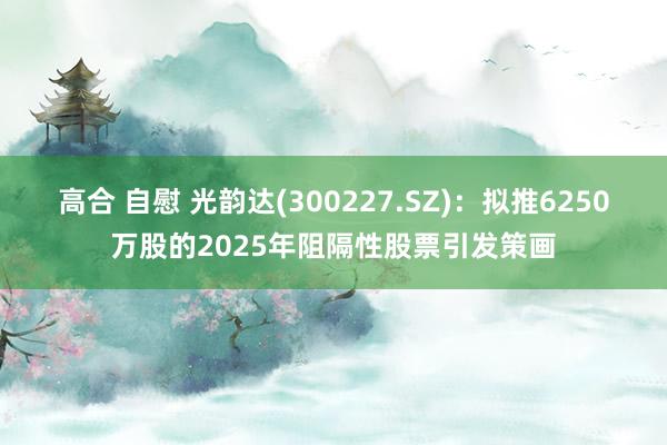 高合 自慰 光韵达(300227.SZ)：拟推6250万股的2025年阻隔性股票引发策画