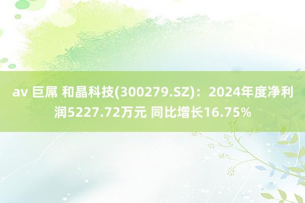 av 巨屌 和晶科技(300279.SZ)：2024年度净利润5227.72万元 同比增长16.75%