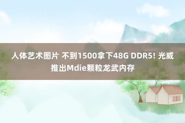 人体艺术图片 不到1500拿下48G DDR5! 光威推出Mdie颗粒龙武内存