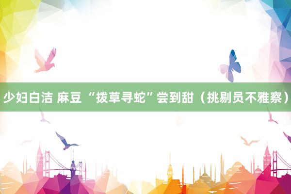 少妇白洁 麻豆 “拨草寻蛇”尝到甜（挑剔员不雅察）