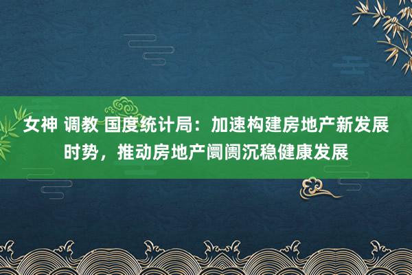 女神 调教 国度统计局：加速构建房地产新发展时势，推动房地产阛阓沉稳健康发展