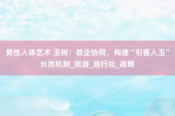 男性人体艺术 玉树：政企协同，构建“引客入玉”长效机制_旅游_旅行社_战略