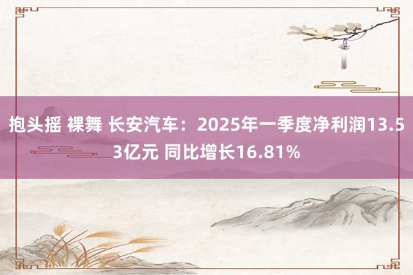 抱头摇 裸舞 长安汽车：2025年一季度净利润13.53亿元 同比增长16.81%
